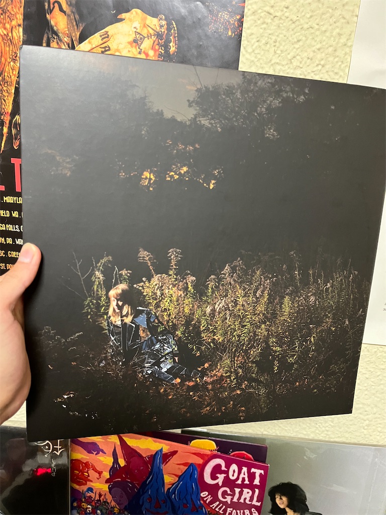 フォークが聴きたい - 洋楽好きの独り言