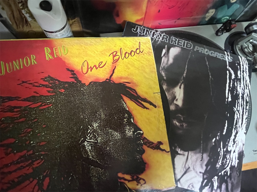 非常に危険な　レゲエ　サウンドネタ　　　レコード 新作ダイジェスト] レゲエサウンドでまったリゾート気分「Reggae