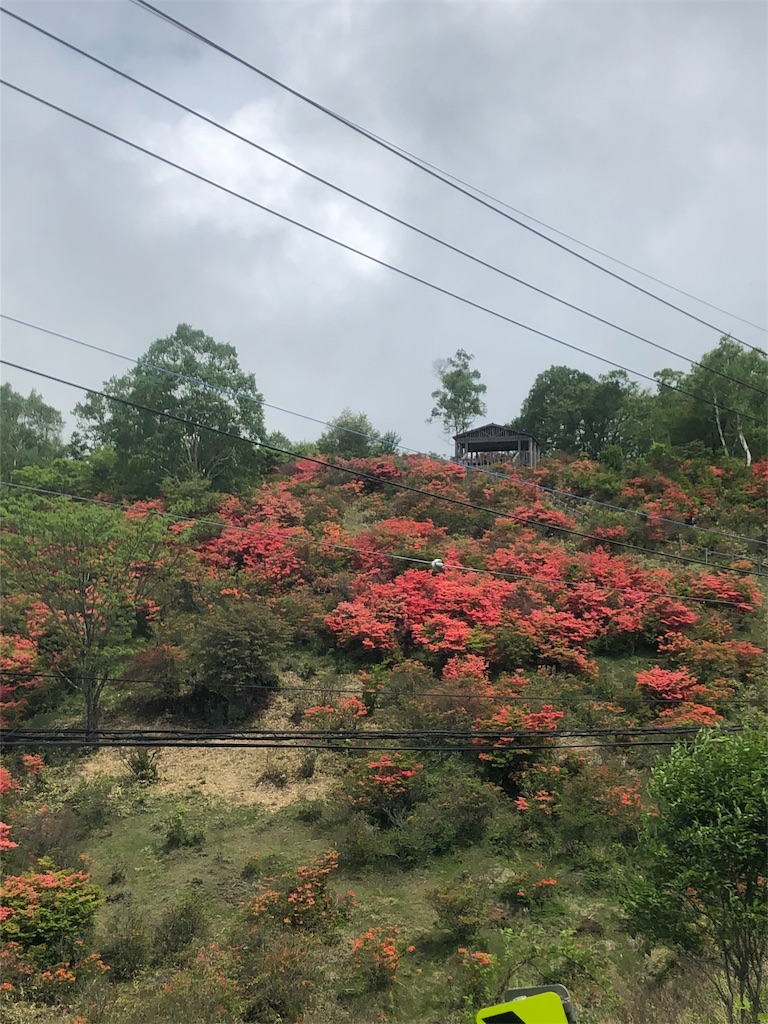 f:id:syu-yashima:20190612190355j:image