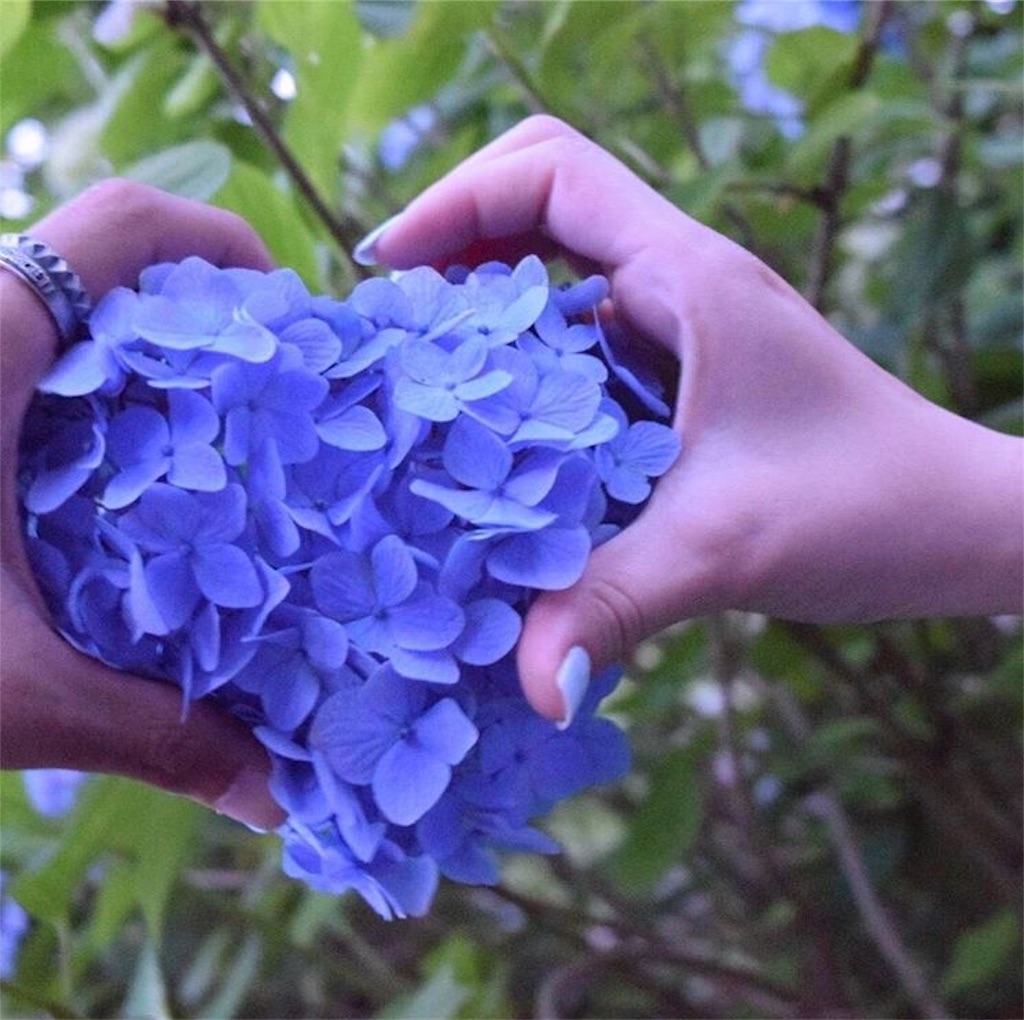 f:id:syu9ri6:20190710000840j:image f:id:syu9ri6:20190710000840j:image