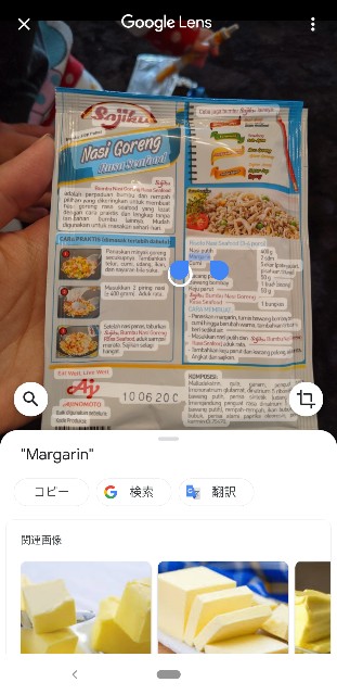 AJINOMOTOのSajikuのNasi Goreng Rasa SeafoodのGooglelens翻訳単語ごとにGoogle検索