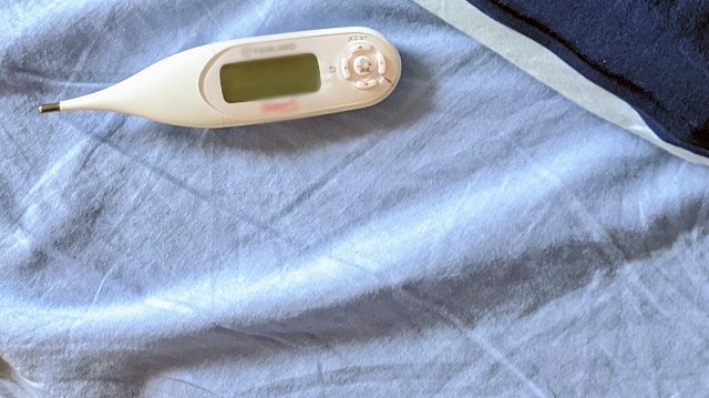 高温期に眠れない理由は 体温が下がりにくいから Syu Rei S Weblog