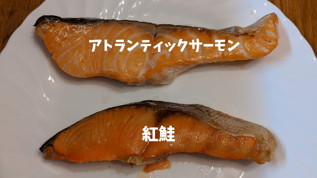 アトランティックサーモンと紅鮭の違いは何 焼き魚で比較 Syu Rei S Weblog