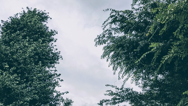 雨の日の空の写真