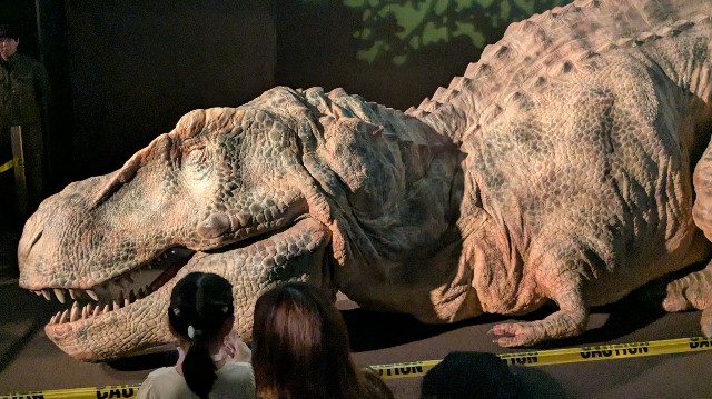 寝ているティラノサウルスを見ている子どもの写真