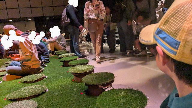 DINO-A-LIVE DINO SAFARI 2025の座席の写真