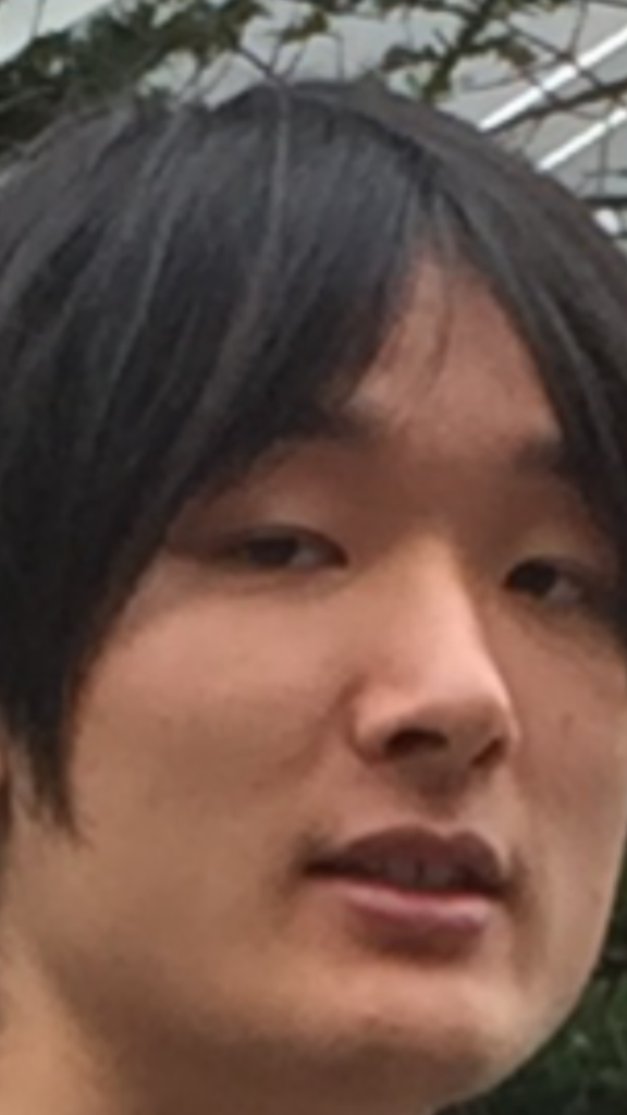 f:id:syudondon:20160614214530p:plain f:id:syudondon:20160614214530p:plain