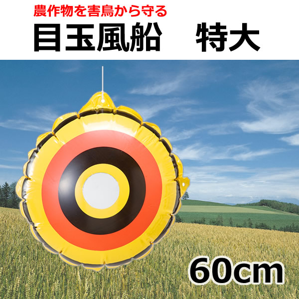 f:id:syudondon:20170106002448j:plain