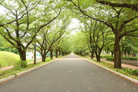 土地選びの失敗談 住んでから後悔している事 しゅふまるこ 土地選びの失敗談 住んでから後悔している事 しゅふまるこ