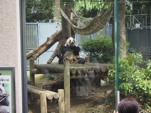 f:id:syufumaruko:20170918111526j:plain f:id:syufumaruko:20170918111526j:plain