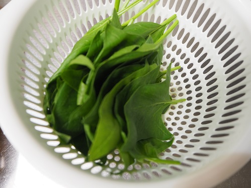 f:id:syufumaruko:20180716060758j:plain f:id:syufumaruko:20180716060758j:plain