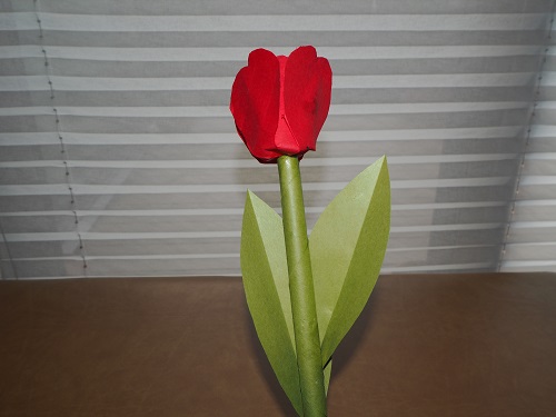 f:id:syufumaruko:20180728173030j:plain f:id:syufumaruko:20180728173030j:plain