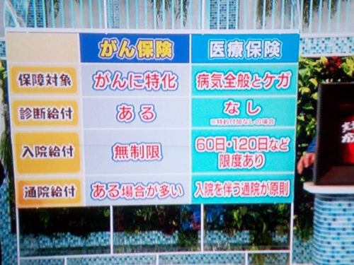 f:id:syufumaruko:20181011094725j:plain