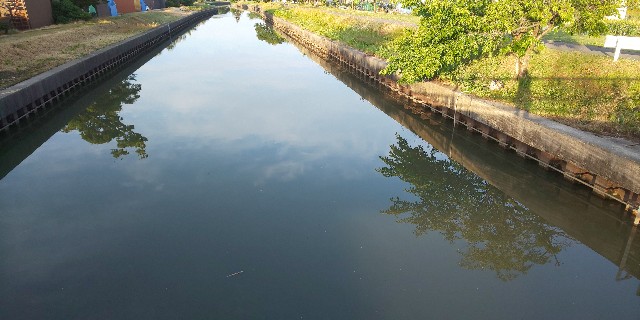 f:id:syufumaruko:20190618093259j:image