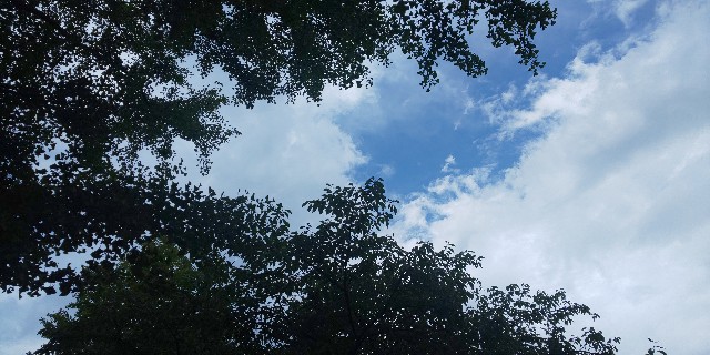 f:id:syufumaruko:20190831191633j:image f:id:syufumaruko:20190831191633j:image