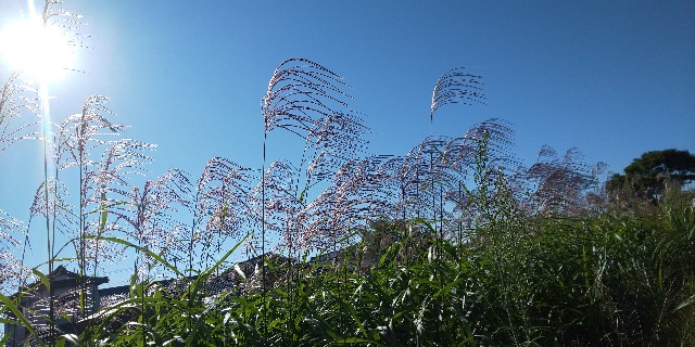 f:id:syufumaruko:20201021104420j:plain