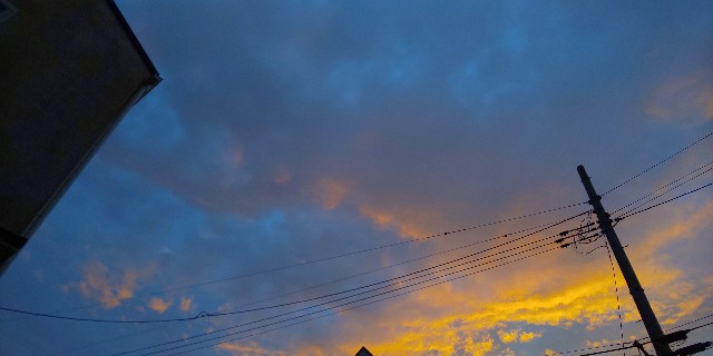 f:id:syufumaruko:20210716103128j:image
