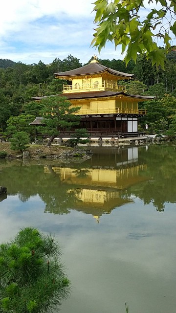 f:id:syufumaruko:20221018131927j:image f:id:syufumaruko:20221018131927j:image