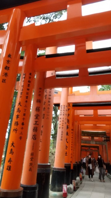 f:id:syufumaruko:20221018134024j:image f:id:syufumaruko:20221018134024j:image