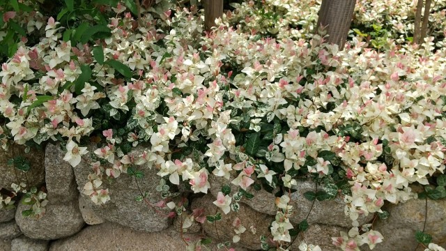 f:id:syufumaruko:20221025131229j:image