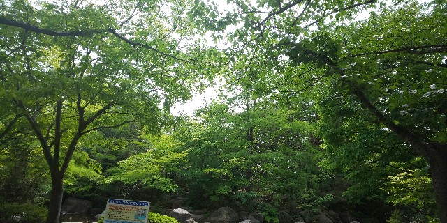 f:id:syufumaruko:20230429161942j:image f:id:syufumaruko:20230429161942j:image