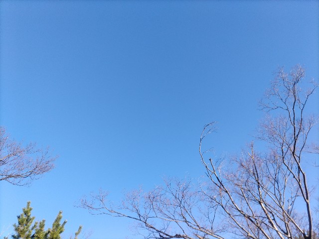 f:id:syufumaruko:20240112093245j:image f:id:syufumaruko:20240112093245j:image