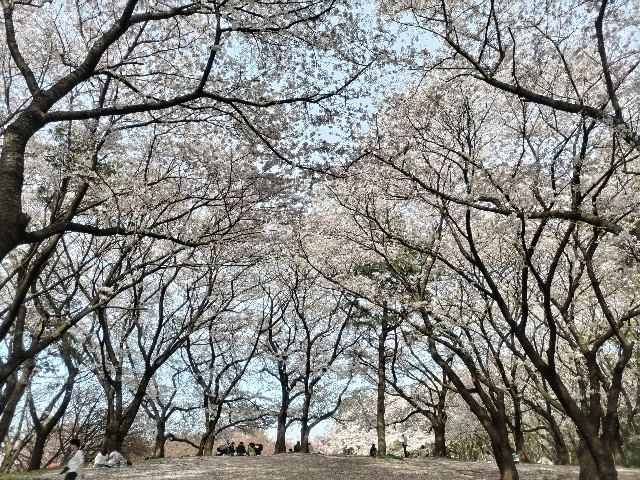 f:id:syufumaruko:20240417102700j:image