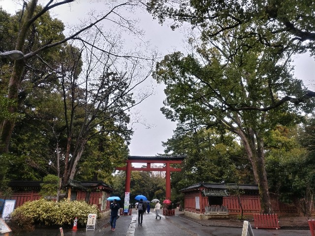 f:id:syufumaruko:20240529111315j:image