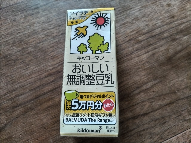 f:id:syufumaruko:20240609151224j:image
