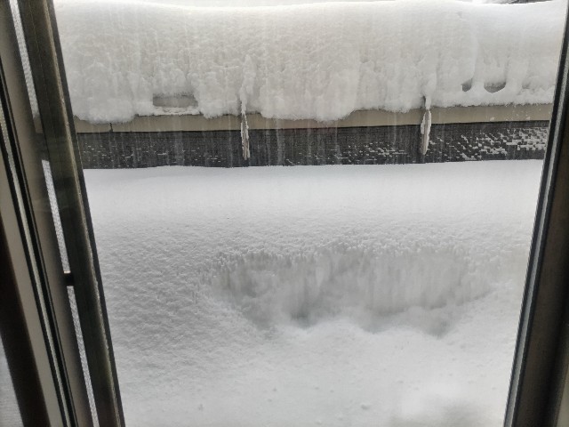 f:id:syufumaruko:20250208162318j:image f:id:syufumaruko:20250208162318j:image