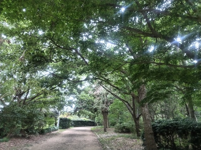 f:id:syufumaruko:20250520113255j:image f:id:syufumaruko:20250520113255j:image