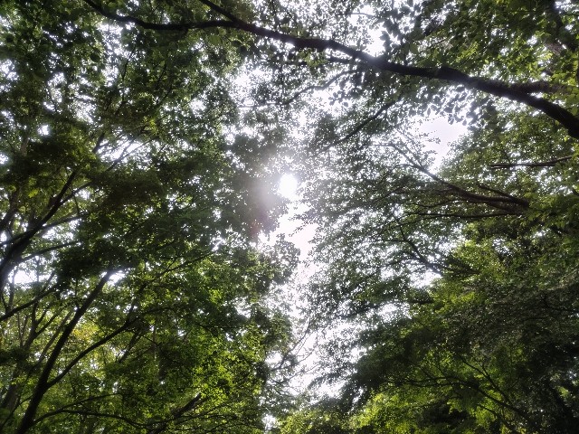 f:id:syufumaruko:20250527103124j:image
