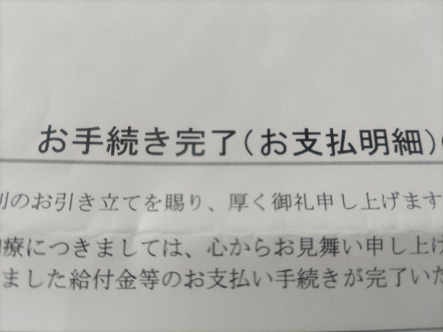 f:id:syufumaruko:20250529114110j:image