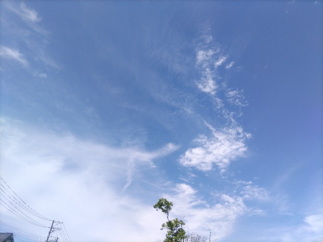 f:id:syufumaruko:20250613080553j:image