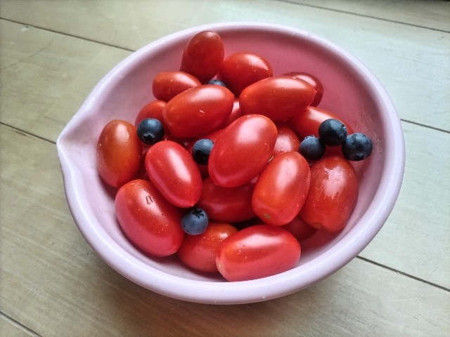 f:id:syufumaruko:20250807191903j:image f:id:syufumaruko:20250807191903j:image