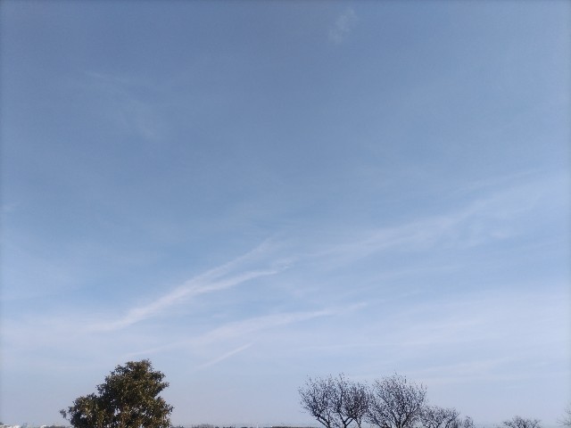 f:id:syufumaruko:20251008093238j:image