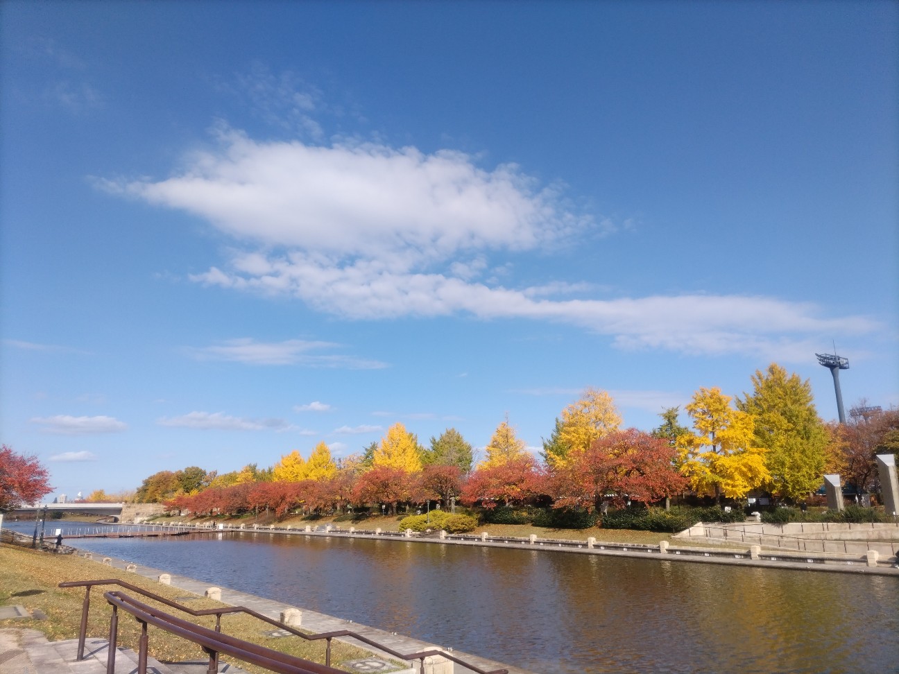 f:id:syufumaruko:20251120182421j:image f:id:syufumaruko:20251120182421j:image