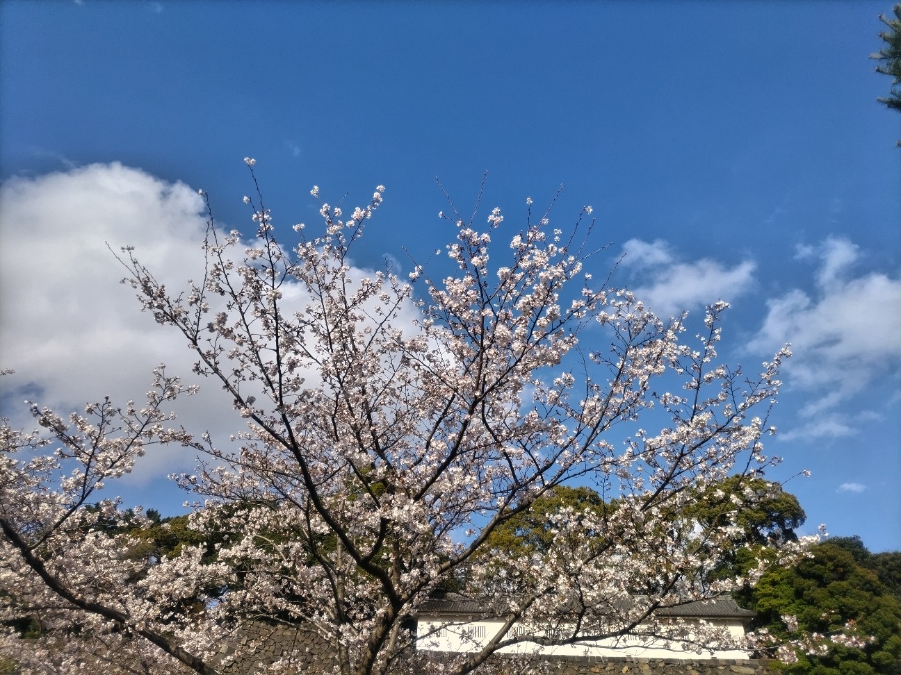 f:id:syufumaruko:20260410115156j:image