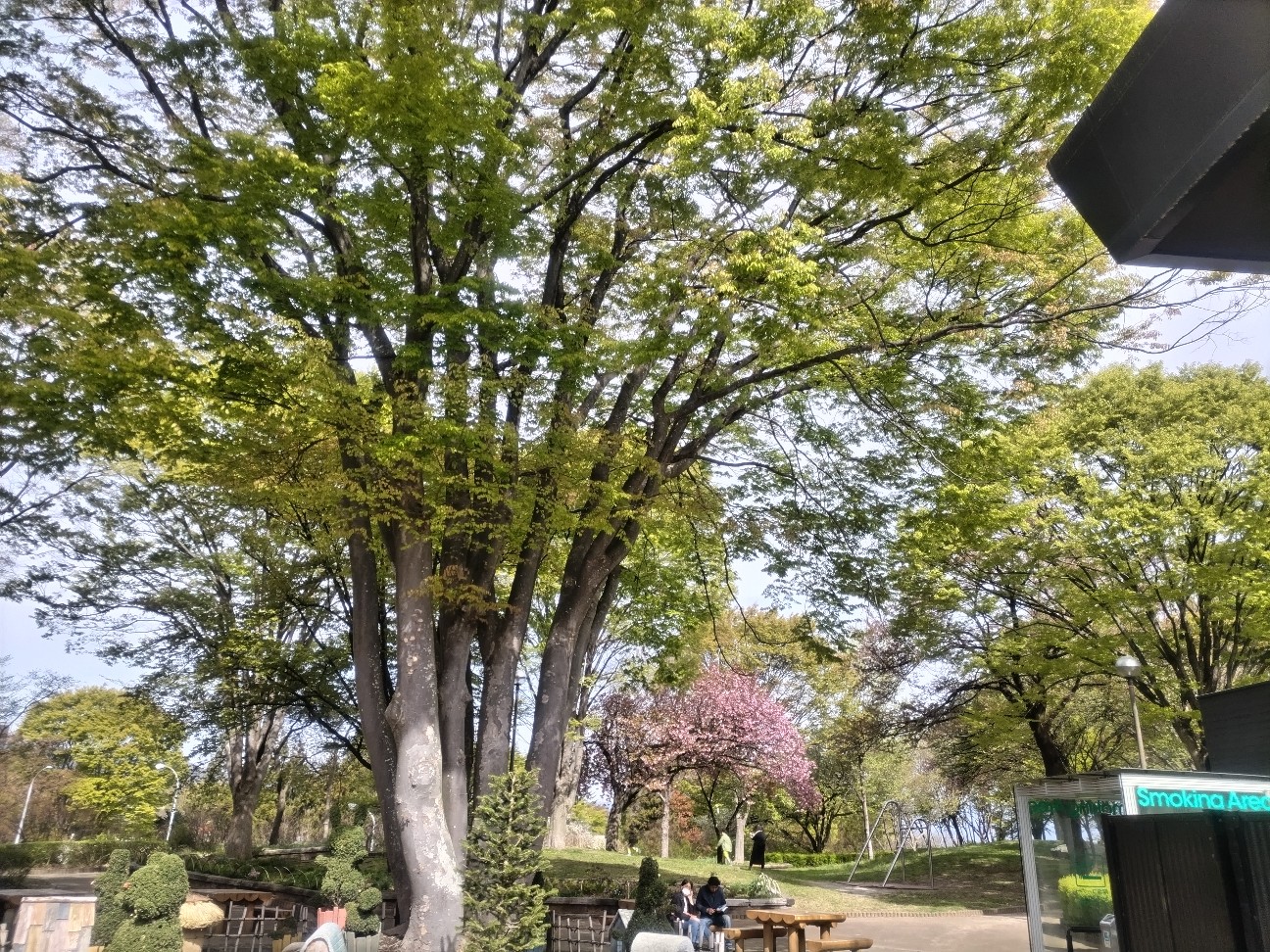 f:id:syufumaruko:20260428122447j:image f:id:syufumaruko:20260428122447j:image