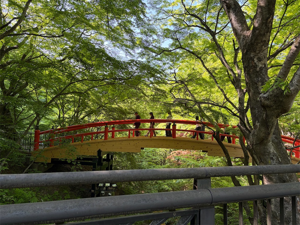f:id:syufumaruko:20260525143839j:image f:id:syufumaruko:20260525143839j:image