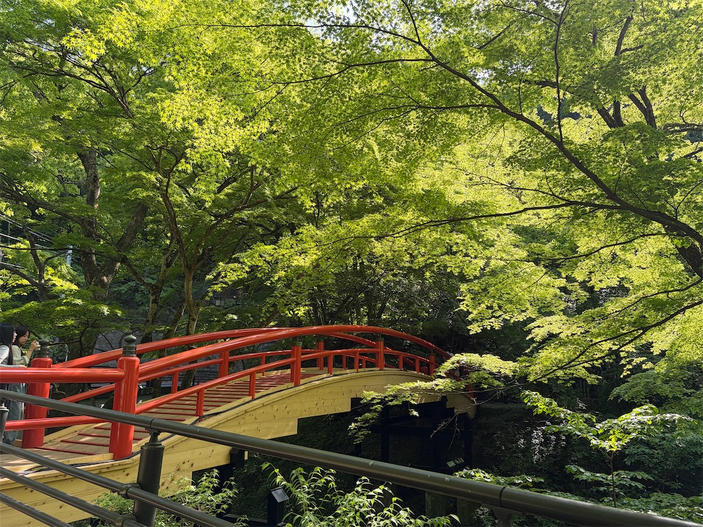 f:id:syufumaruko:20260525143842j:image f:id:syufumaruko:20260525143842j:image