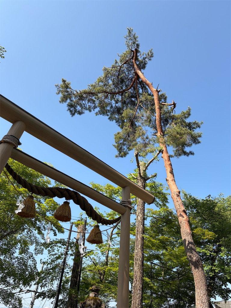 f:id:syufumaruko:20260525144027j:image f:id:syufumaruko:20260525144027j:image