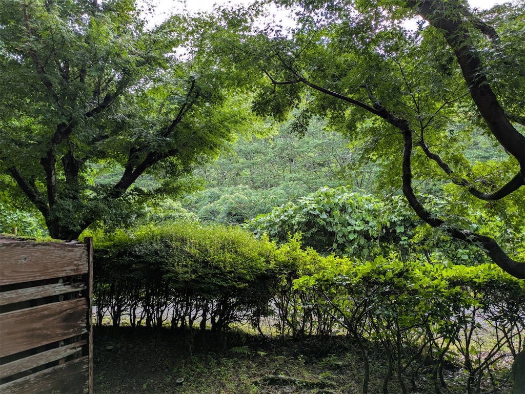 f:id:syufumaruko:20260624175352j:image f:id:syufumaruko:20260624175352j:image