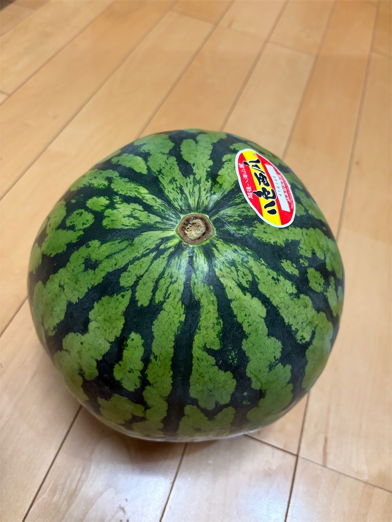 f:id:syufumaruko:20260821124406j:image f:id:syufumaruko:20260821124406j:image