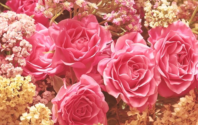 f:id:syuhei-asahina:20191018050706j:plain f:id:syuhei-asahina:20191018050706j:plain
