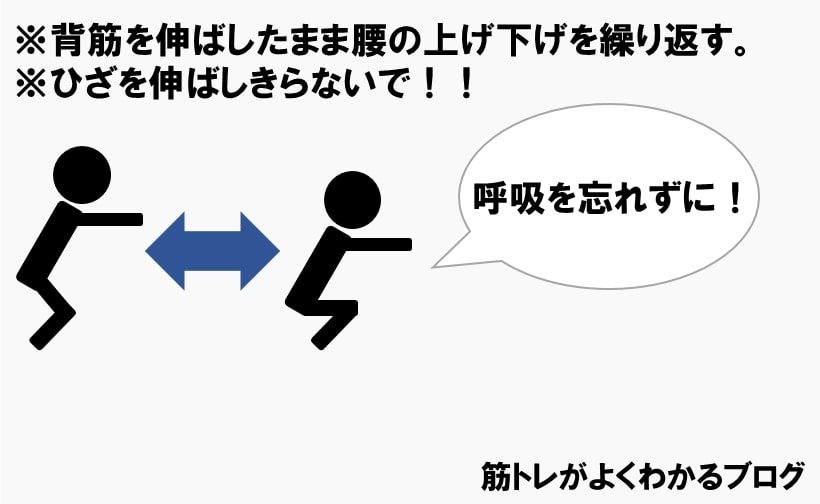 スクワットやり方⑥上げ下げを繰り返す