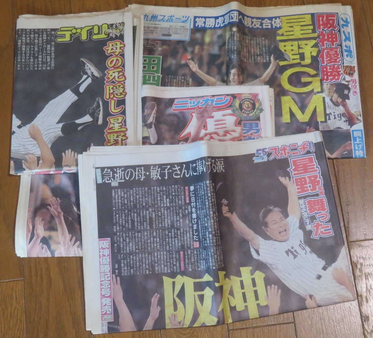 石破首相・阪神タイガース・皆既月食 - 島の医者になって、た頃もあった