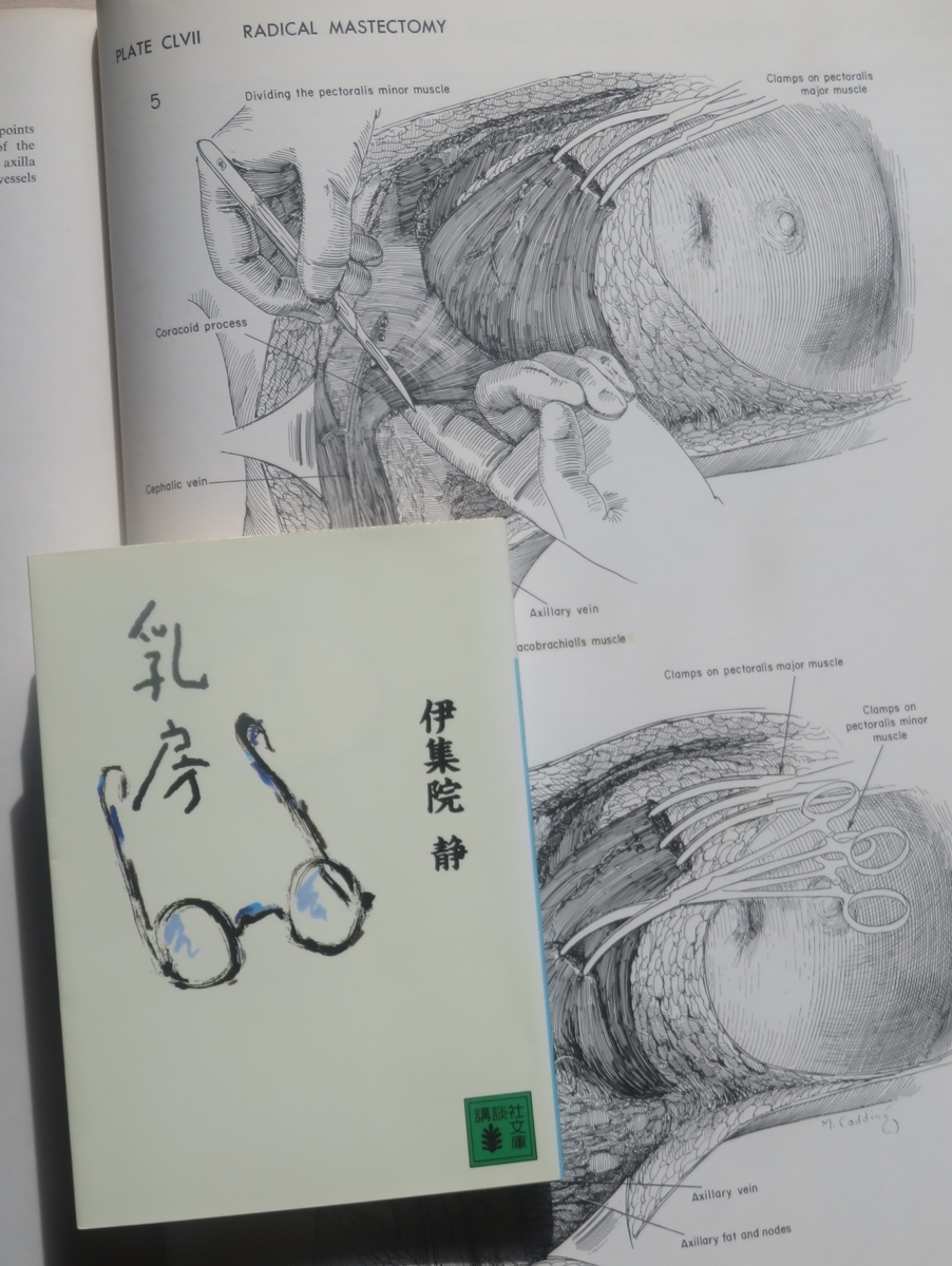 伊集院静 - 島の医者になって、た頃もあった