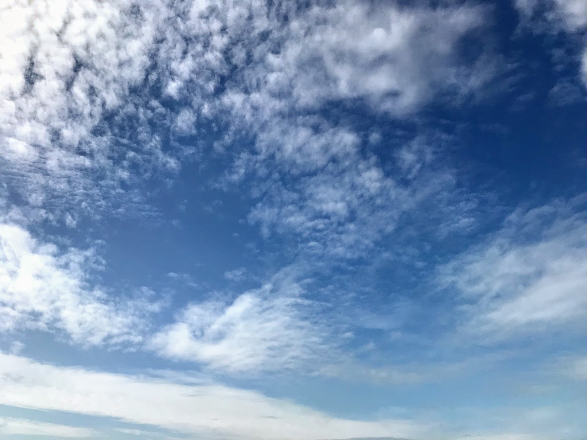 f:id:syuhugame:20190922200646j:plain