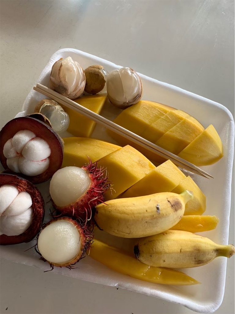 f:id:syuhuno-haruharu:20191231165144j:image f:id:syuhuno-haruharu:20191231165144j:image